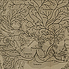 Foldout of map of "Hypothetical sketch of the monophylitic origin and of the diffusion of the 12 varieties of men from Lemuria over the earth," also title page from Chapman’s  Evolution of life.