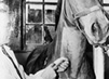 Man in a lab coat injecting a horse in the neck.