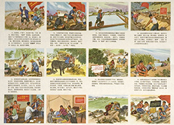 Poster with 5 horizontal panels of images and text