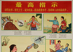 Poster with a series of images with text that show spraying insecticides, burning incense, and taking drugs, title on top