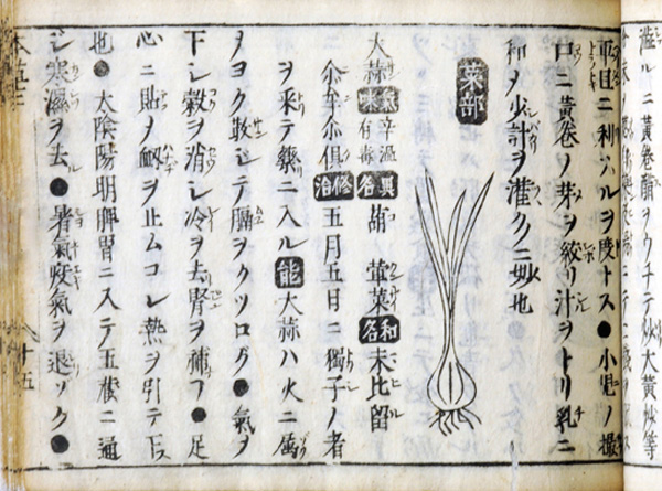 Page opening of a book with Japanese text and drawings