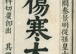 Page of a book with big bold Chinese characters in the center and more text around the edges 