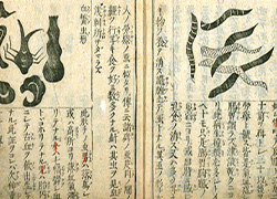 Page opening of a book with Chinese characters and drawings