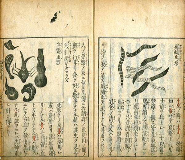 Page opening of a book with Chinese characters and drawings