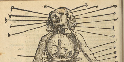 Woodcut chart showing a man facing forward with torso and chest open to show internal organs 48 lines labeling pointing points on the body for bloodletting.