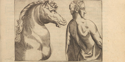 Copperplate engraved illustration of a man and a horse in profile, each facing right, with the man wearing a toga.