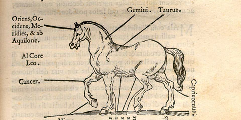 Woodcut illustration showing a horse facing left with lines indicating different parts of the horse body affected by the different zodiac constellations