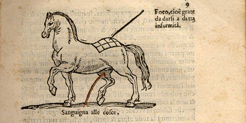 Woodcut horse illustration showing one horse at the top of the page facing left with an infection on the back of its hind quarters and a horse in the lower portion of the page with a skin disease.