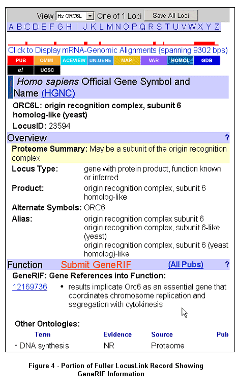 Portion of Fuller LocusLink Record Showing Some GeneRIF Information