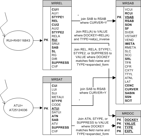 How to find all information associated with the metadata of a particular relationship (RUI value) or attribute (ATUI value) graph