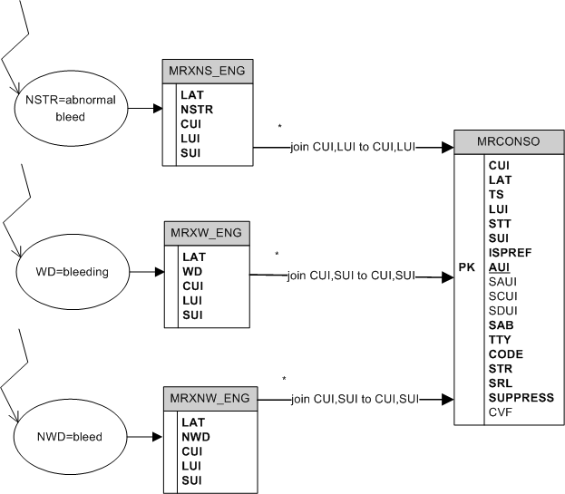 How to perform searches for normalized strings, normalized words, or regular words graph