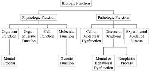 semantic types in a hierarchy